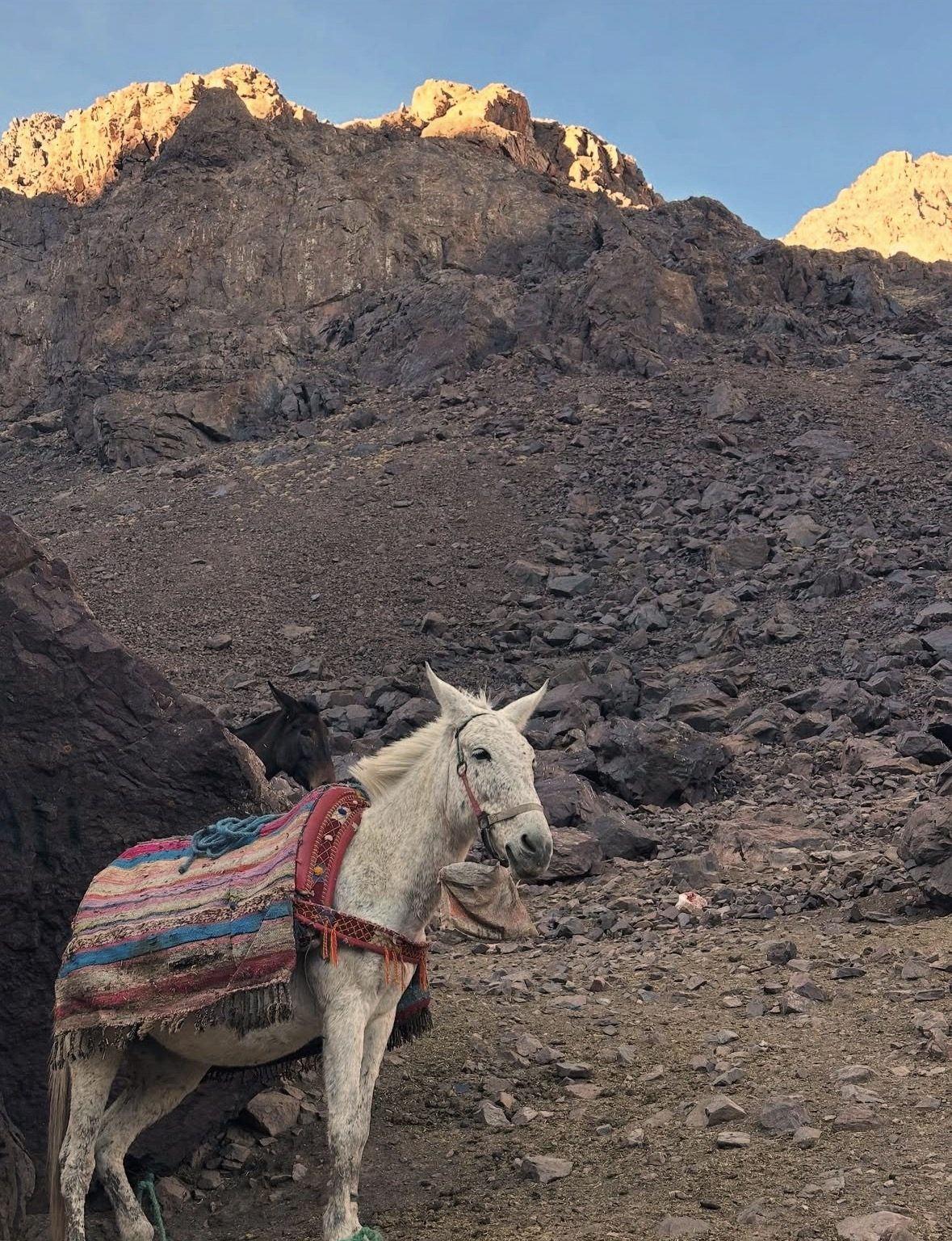 Atlas Mountains and 3 Valleys & Waterfalls - Camel Ride Marrakech